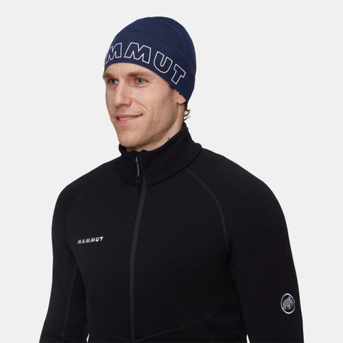 Mammut Aenergy Beanie In Blue