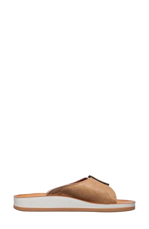 Antelope Farley Genuine Calf Hair Slide Sandal In Brown