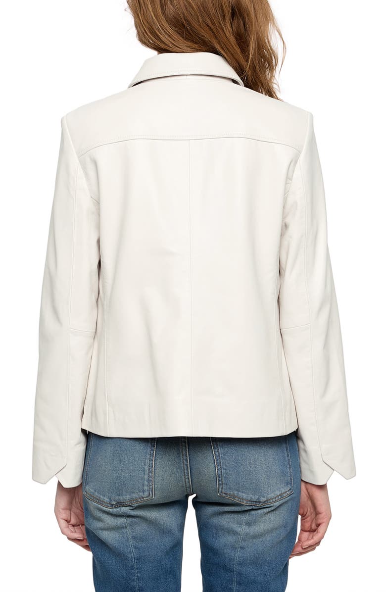 Zadig & Voltaire LIamys Leather Jacket, Alternate, color, Judo