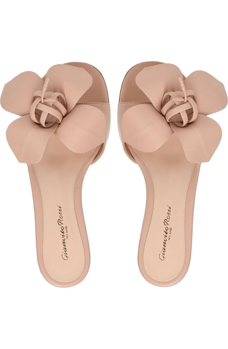 Gianvito Rossi Lucilla 05 Flats, Alternate, color,