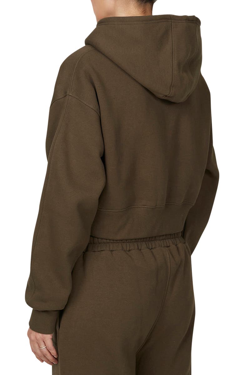Good For Nothing Vintage Tonal Crop Zip Hoodie, Alternate, color, Brown