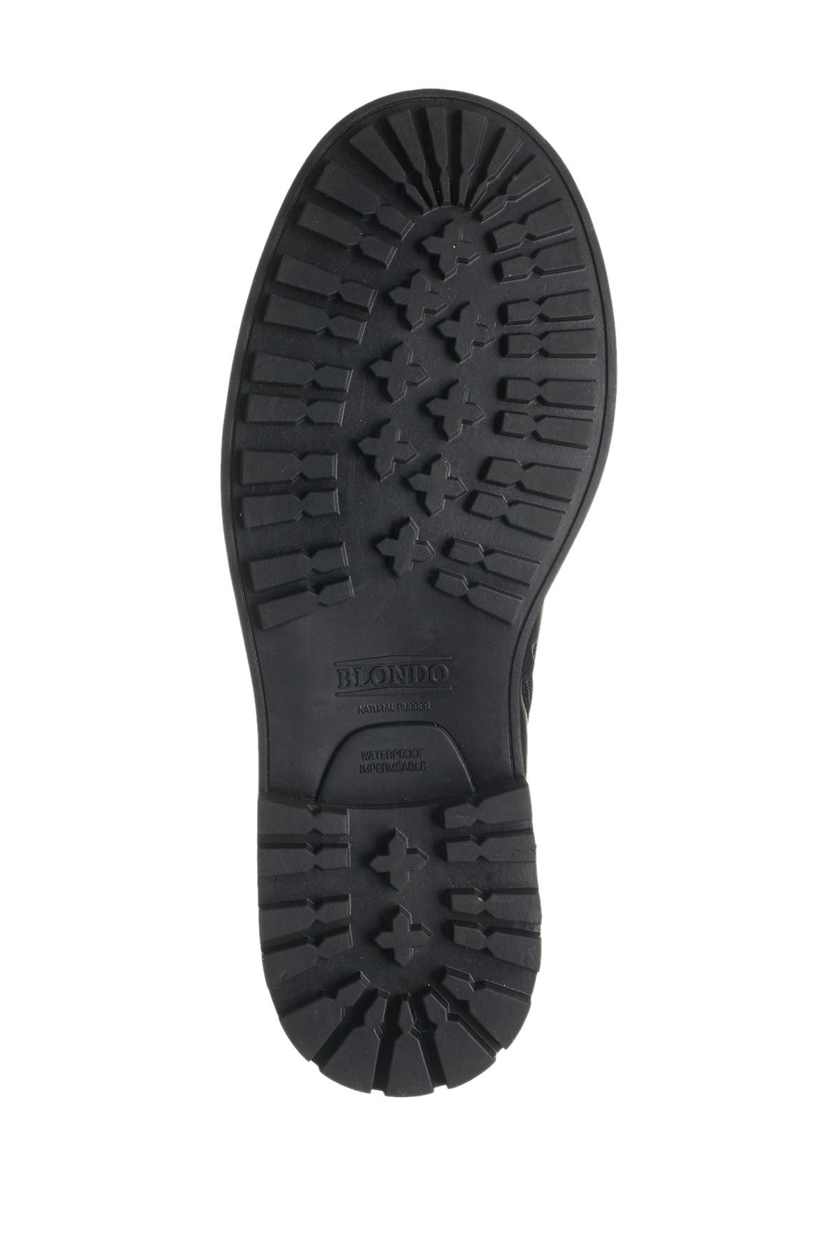 Blondo Jasper Waterproof Plain Toe Boot, Alternate, color, 