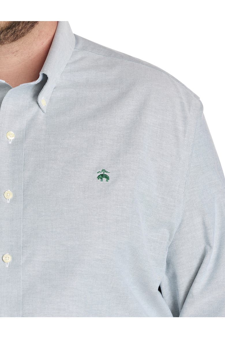 Big & Tall Non-Iron Solid Oxford Sport Shirt, Alternate, color, GREEN HERON SOLID