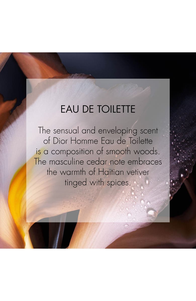 DIOR Homme Eau de Toilette, Alternate, color,