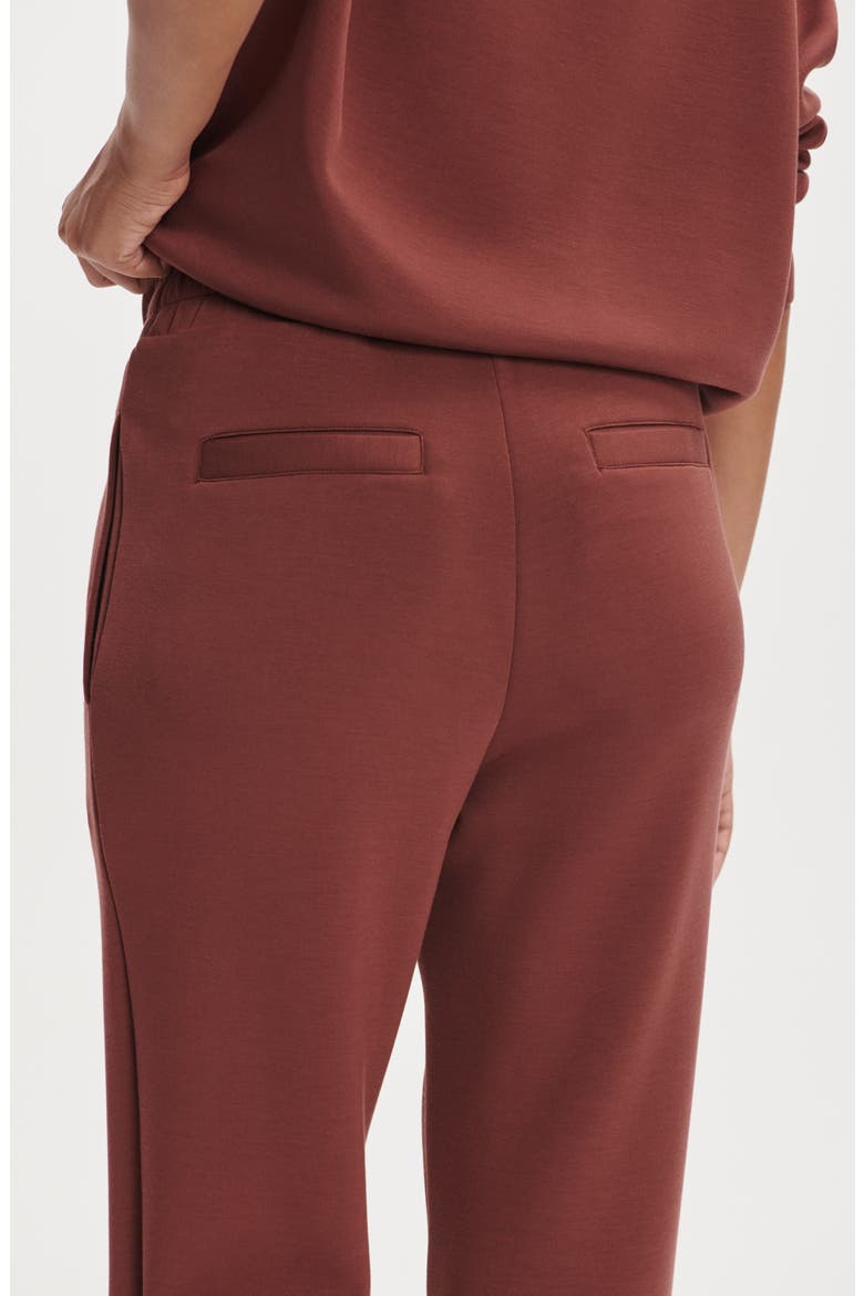 Brushed Rib Slim Cuff 25-Inch Pants, Alternate, color, CINNAMON