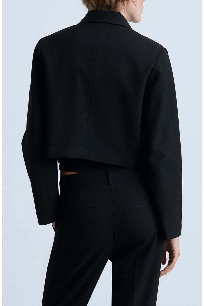 Crop Suiting Jacket, Alternate, color, BLACK