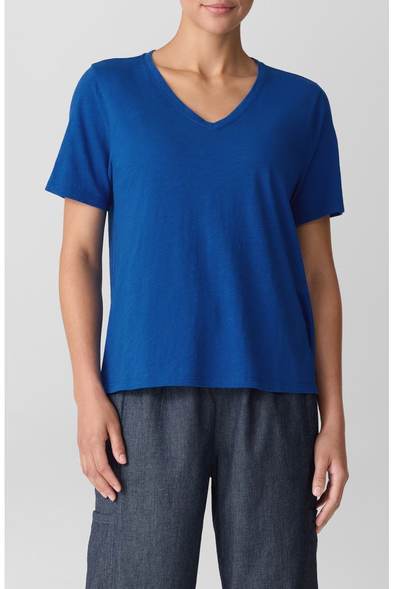 Easy V-Neck Organic Cotton T-Shirt, Main, color, BLUEBIRD
