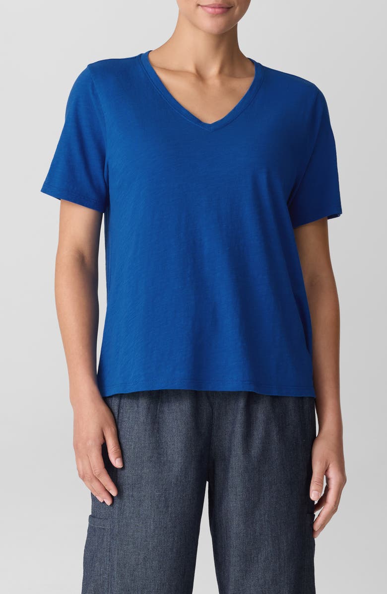 Eileen Fisher Easy V-Neck Organic Cotton T-Shirt, Main, color, Bluebird