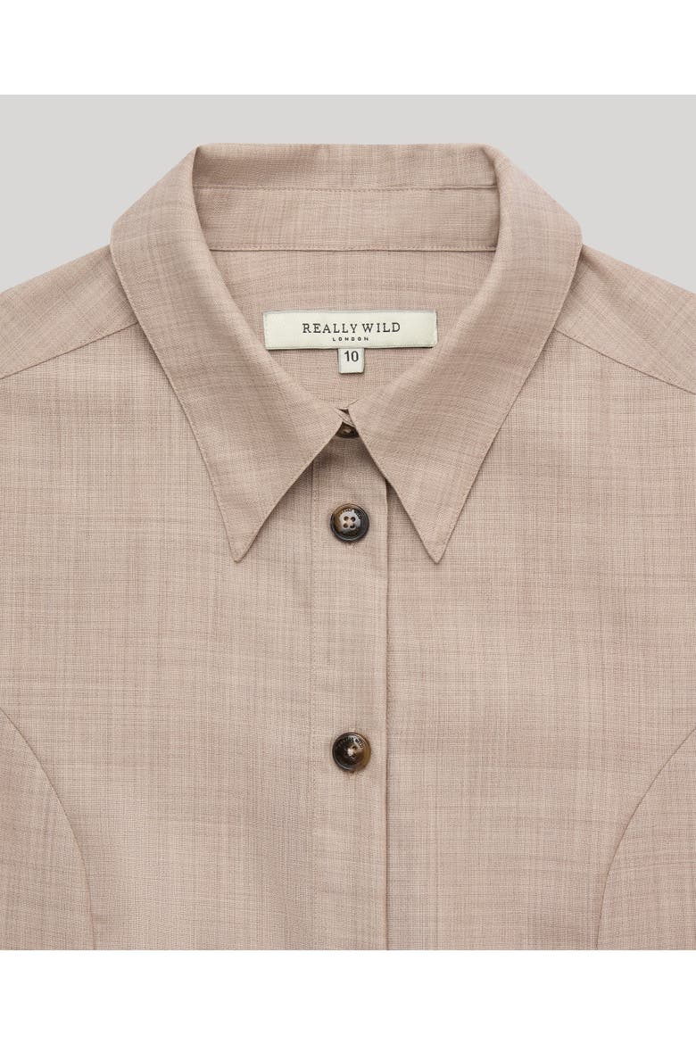 Diane Wool Shirt Dress, Alternate, color, Taupe