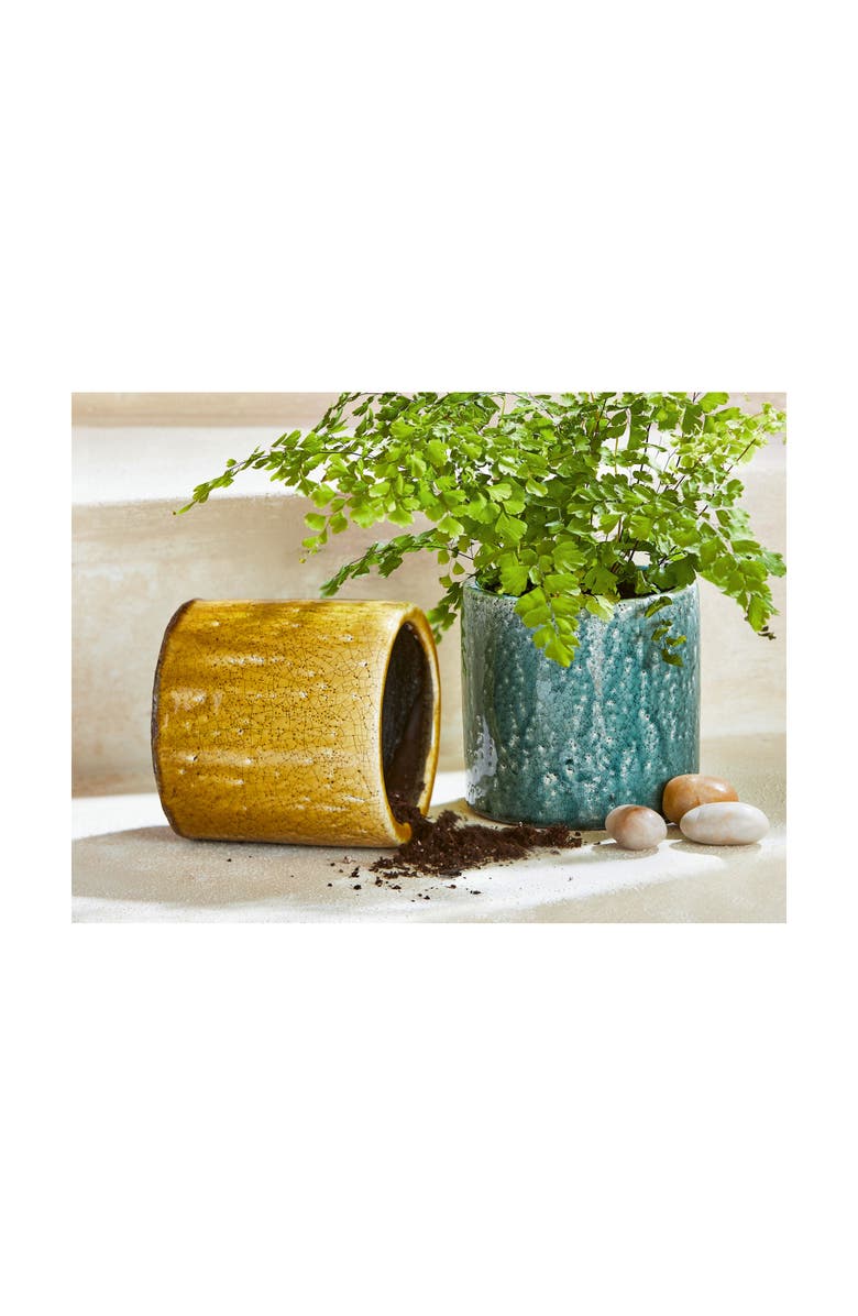 tag Avery Ochre Yellow Glazed Terracotta Planter 5.5L 5.5W 5.5H, Alternate, color, Yellow