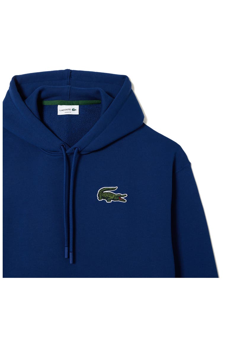 Loose Fit Cotton Hoodie, Alternate, color, F9F METHYLENE