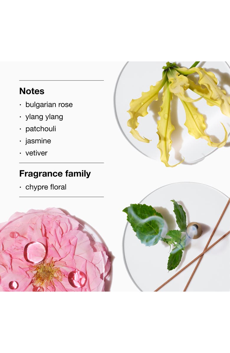 Clinique Aromatics Elixir Riches Perfume & Lotion Gift Set $172 Value, Alternate, color, 