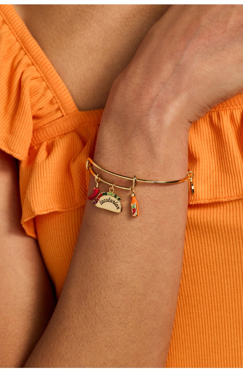 Alex and Ani Taco Multi Charm Ewb, Alternate, color, Gold