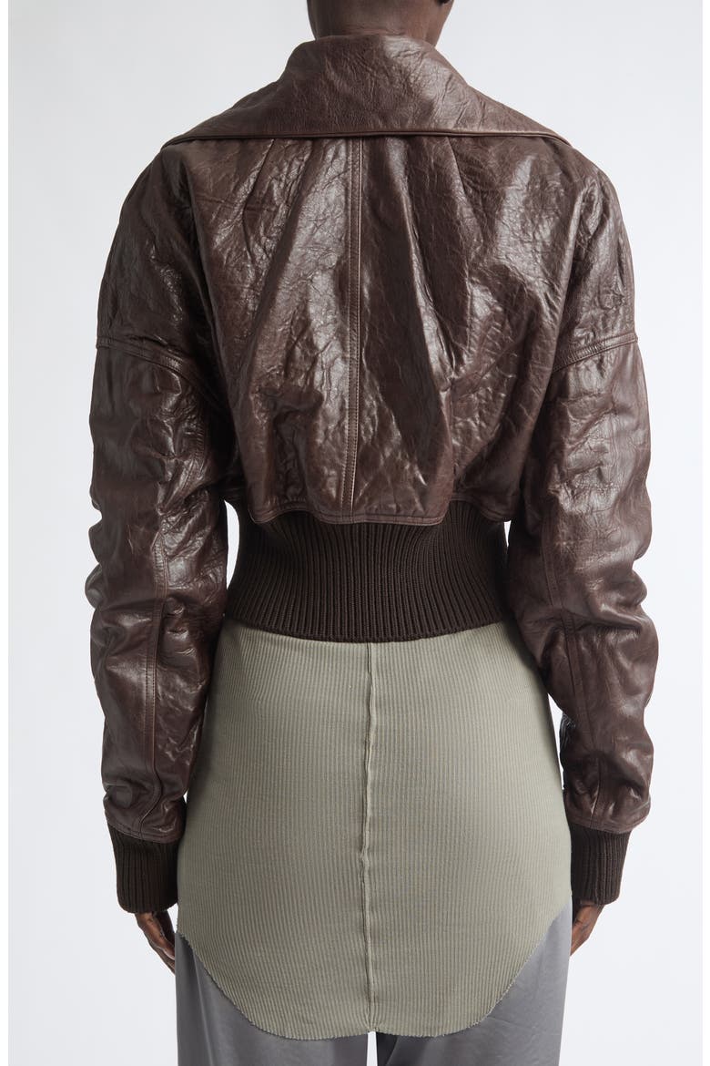 Dracuflight Crop Leather Bomber Jacket, Alternate, color, GREASE