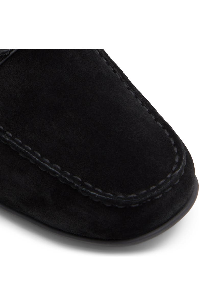 ALDO Scuderiia Loafer, Alternate, color,