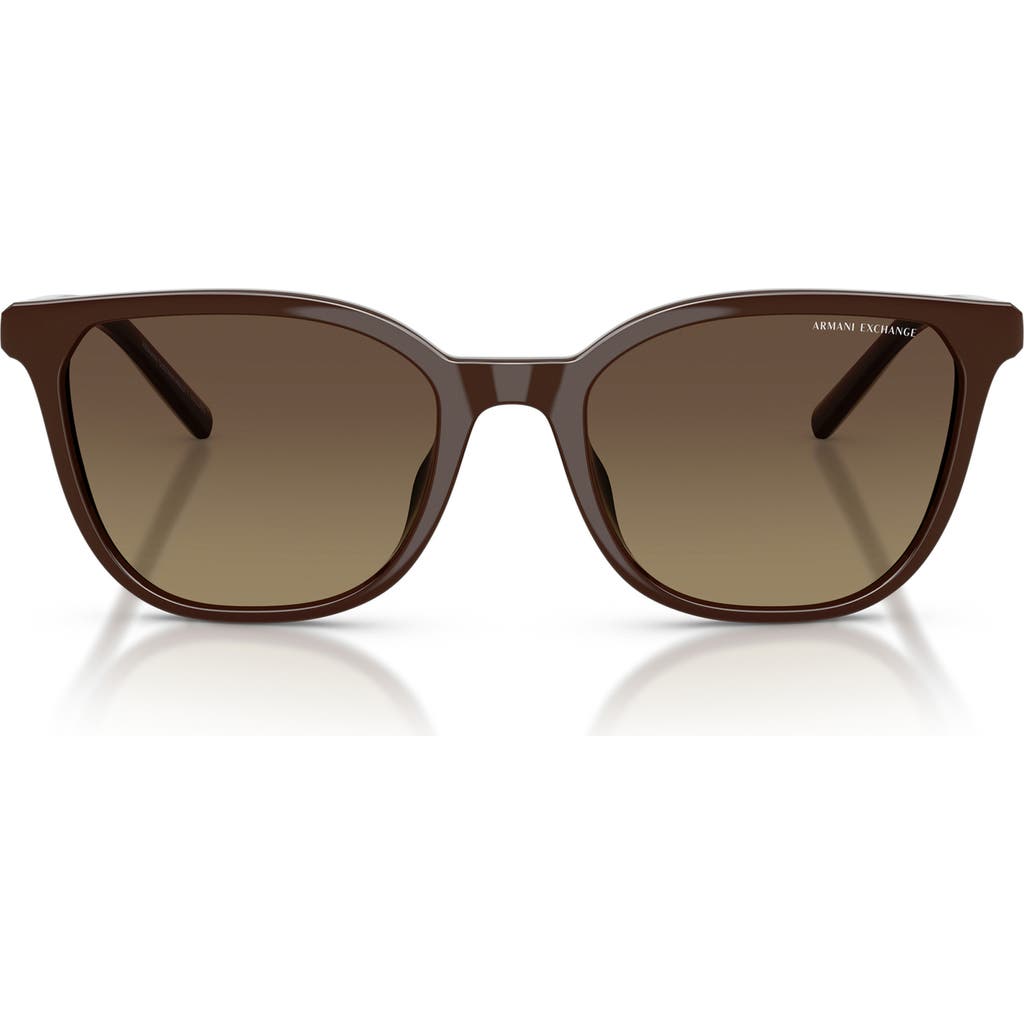Armani Exchange 54mm Gradient Polarized Cat Eye Sunglasses In Brown
