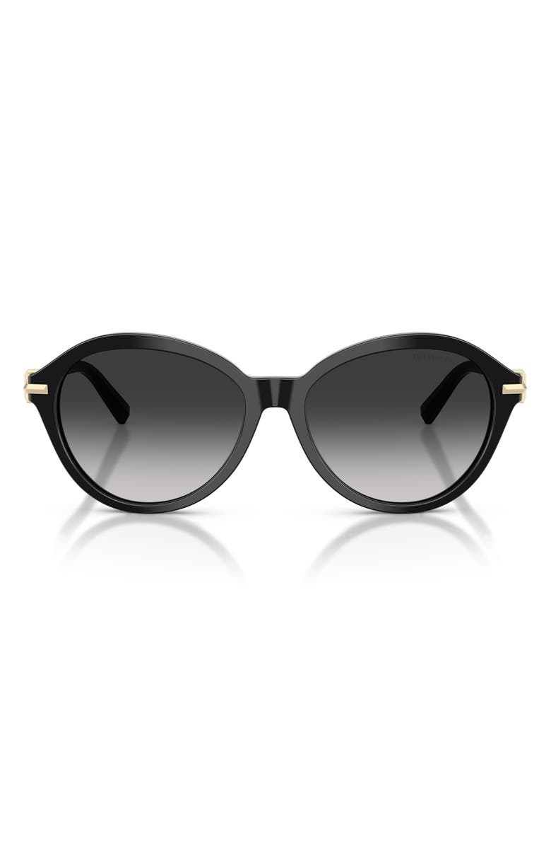 Tiffany & Co. 56mm Gradient Round Sunglasses, Main, color,