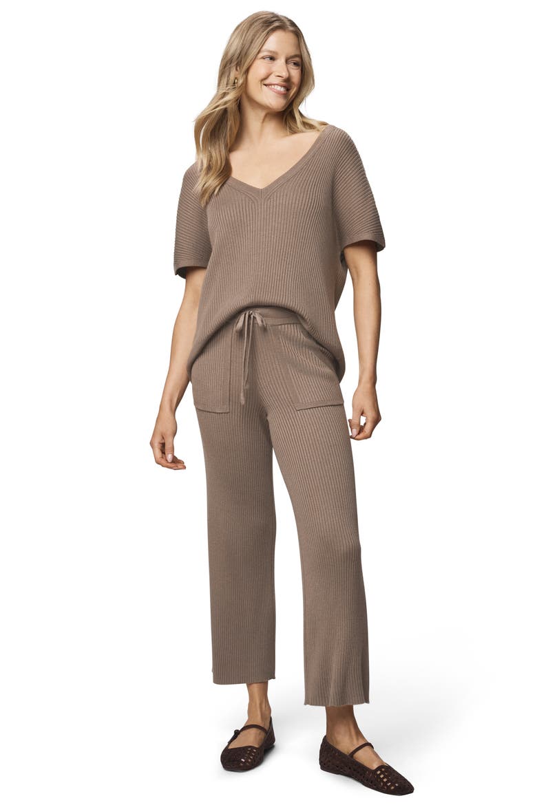 Georgie V-Neck Short Sleeve Rib Sweater, Alternate, color, CEDAR BROWN