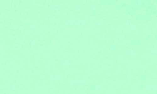 Susana Monaco String Tie Bikini Bottoms In Green