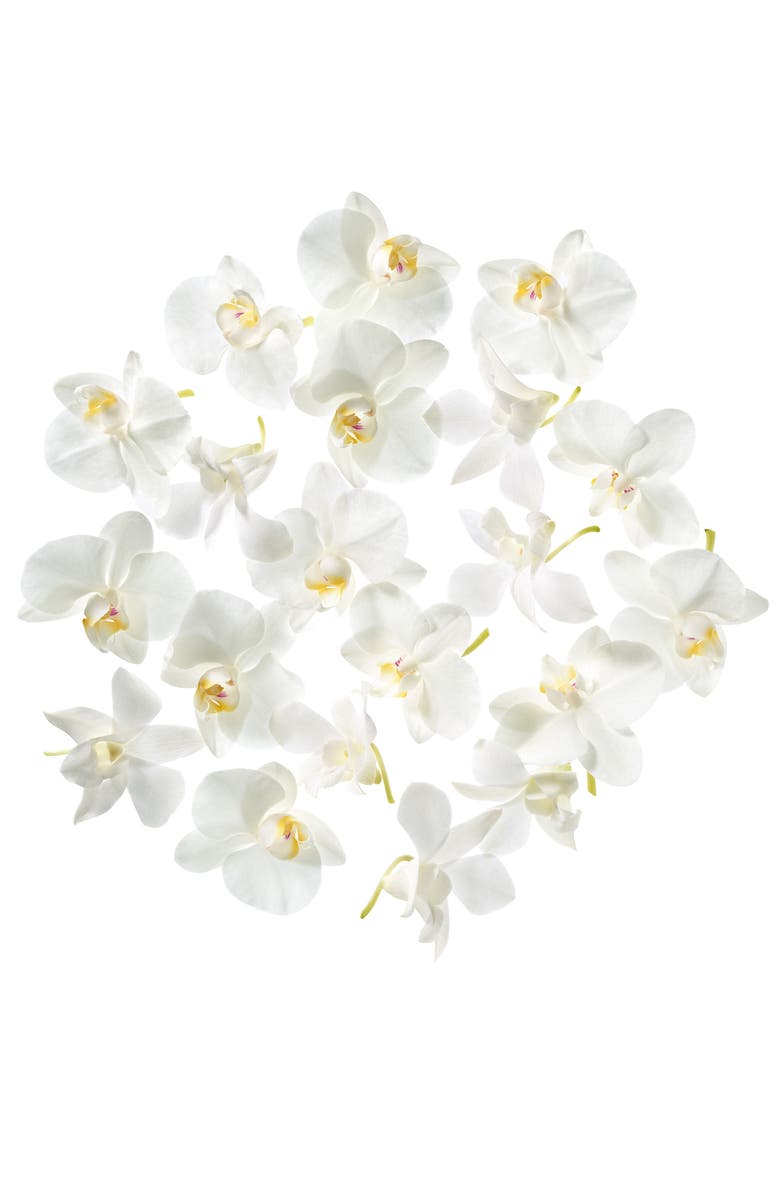 Donna Karan New York Donna Karan Cashmere Mist Deodorant Trio, Alternate, color,