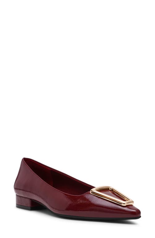 Anne Klein Cavina Pointed Toe Flat In Burgundy
