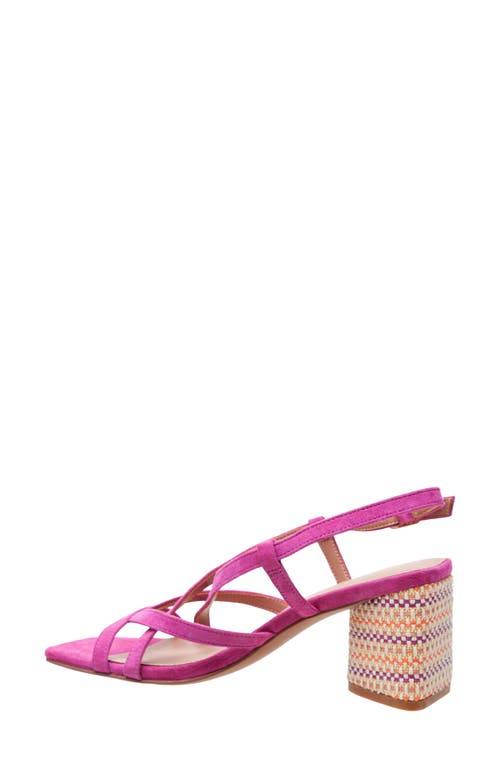 LINEA PAOLO LINEA PAOLO HAZEL SLINGBACK SANDAL 