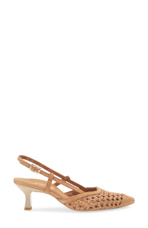 Paul Green Amica Slingback Pointed Toe Pump In Sisal Diva Combo