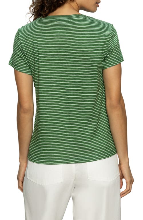 Shop Sanctuary The Perfect T-shirt In Palm Chalk