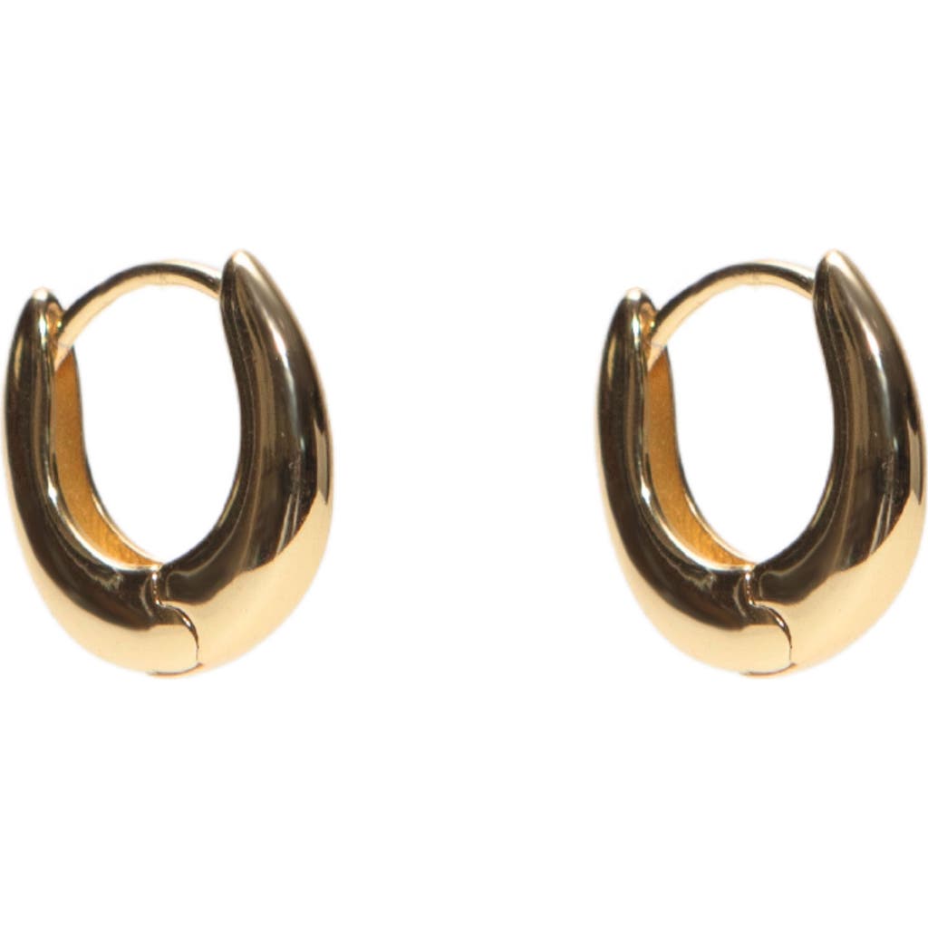 Argento Vivo Sterling Silver Chunky Oval Huggie Hoop Earrings in Gold at Nordstrom