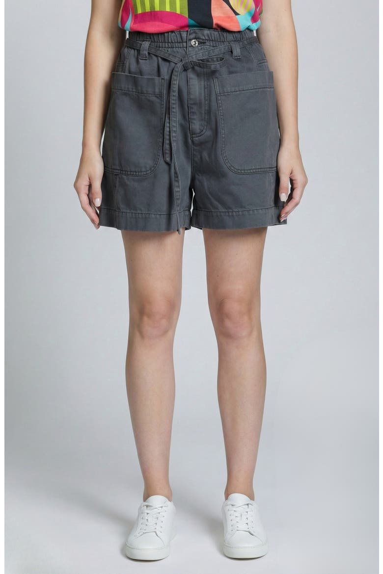 The Coastal Tie Waist Shorts, Main, color, BLACK