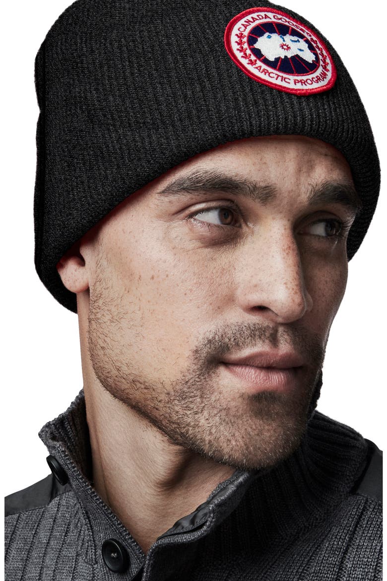 Arctic Disc Merino Wool Toque Beanie, Alternate, color, BLACK