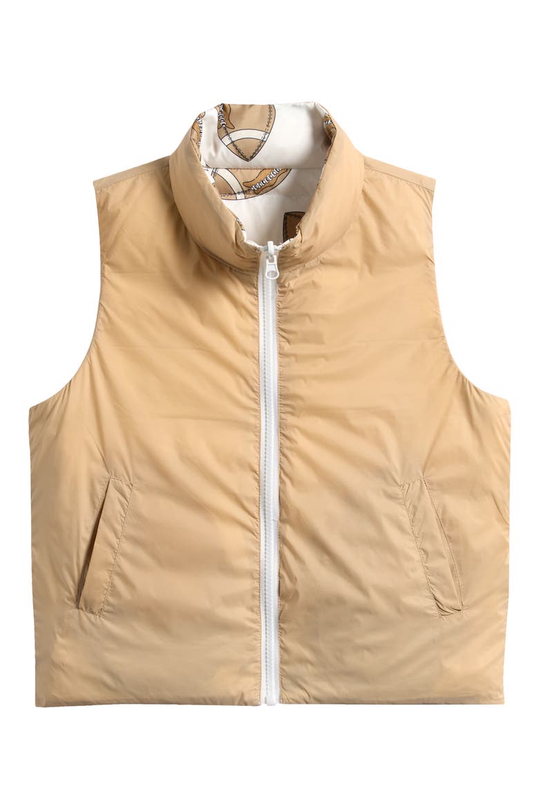 Kids' Casey Reversible Down Puffer Vest, Alternate, color, TAN