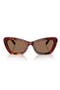  Walnut Tortoise / Brown Solid