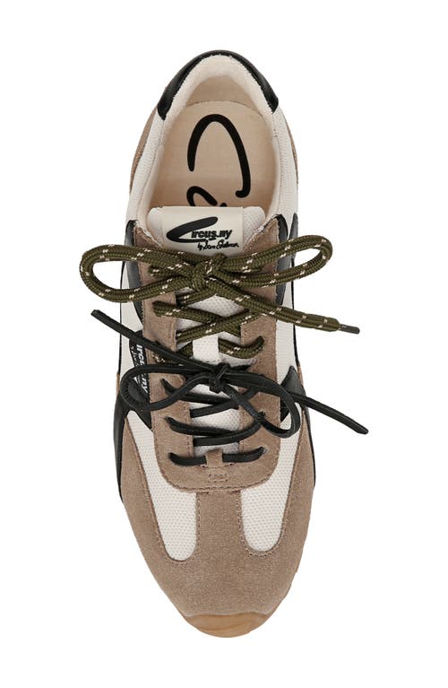 Circus Ny By Sam Edelman Nash Sneaker
