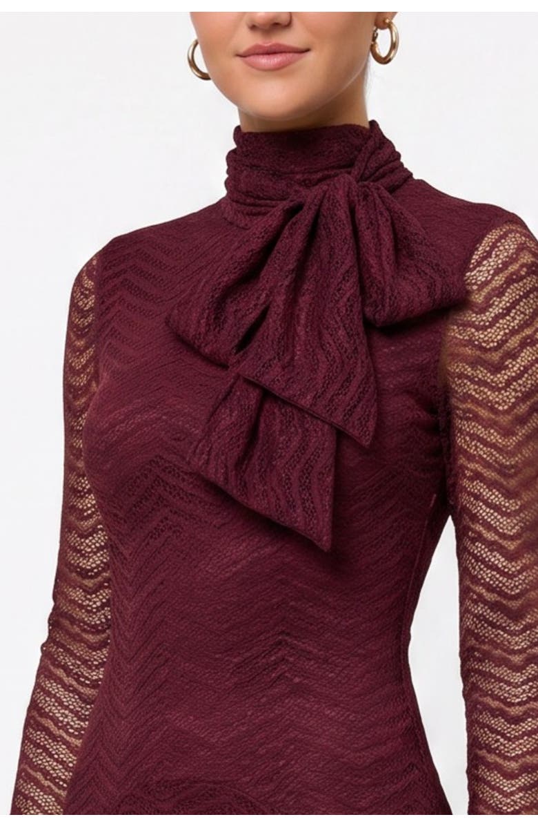 RACHEL Rachel Roy Beatrice Long Sleeve Lace Maxi, Alternate, color, Dark Red