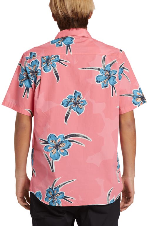 Quiksilver Apero Floral Short Sleeve Stretch Cotton Button-up Shirt In Strawberry Print