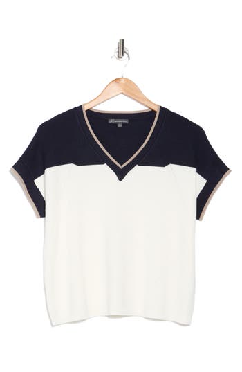 ADRIANNA PAPELL ADRIANNA PAPELL COLORBLOCK V-NECK SHORT SLEEVE SWEATER