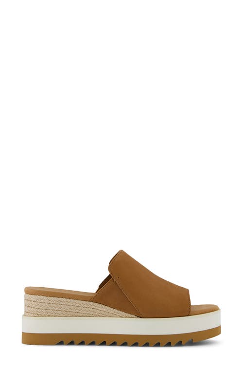 Shop Toms Diana Mule Sandal In Brown