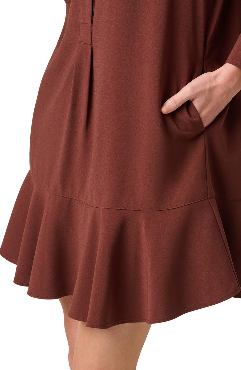 Adrianna Papell Hailey Button-Up Shift Shirtdress, Alternate, color, Chocolate