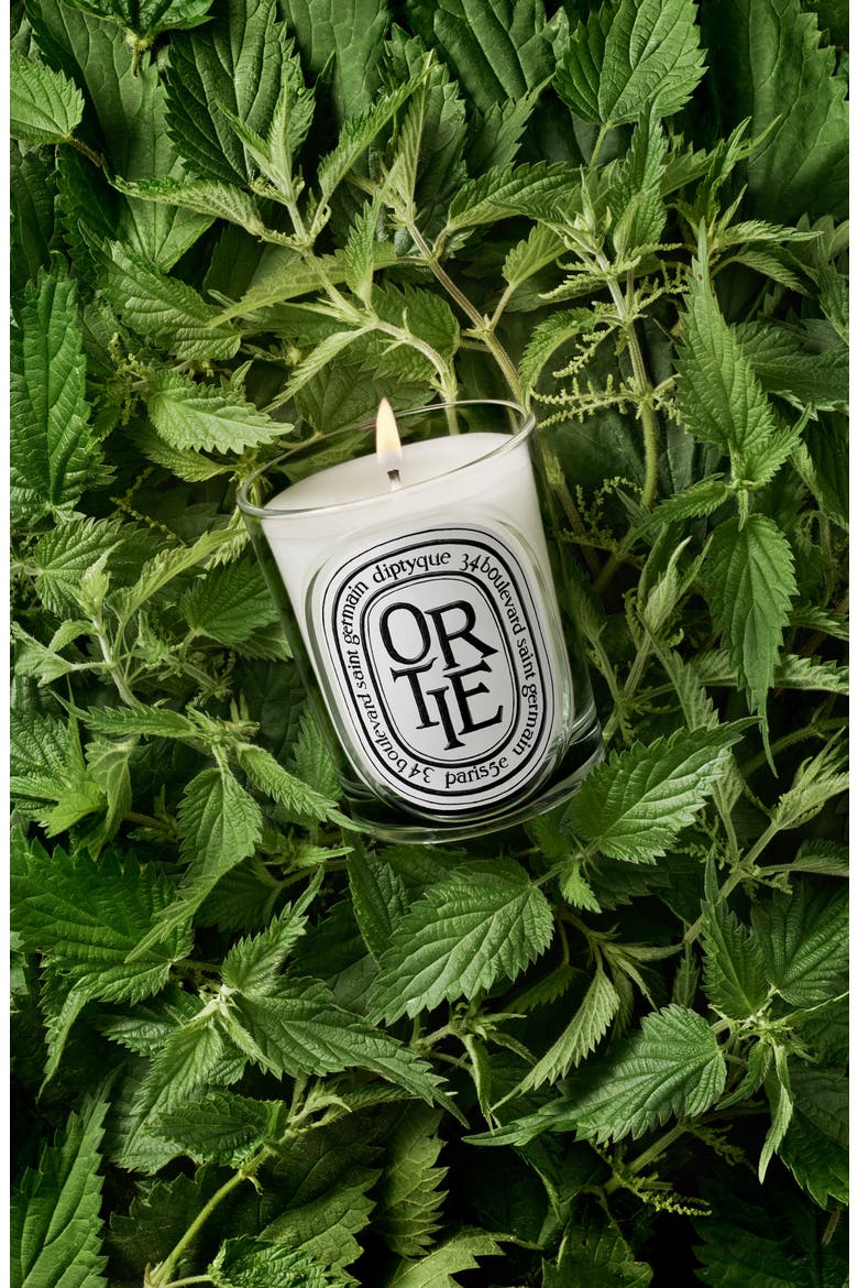 Ortie (Nettle) Classic Candle, Alternate, color, NO COLOR