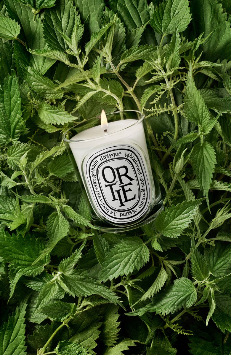 Diptyque Ortie (Nettle) Classic Candle, Alternate, color, 