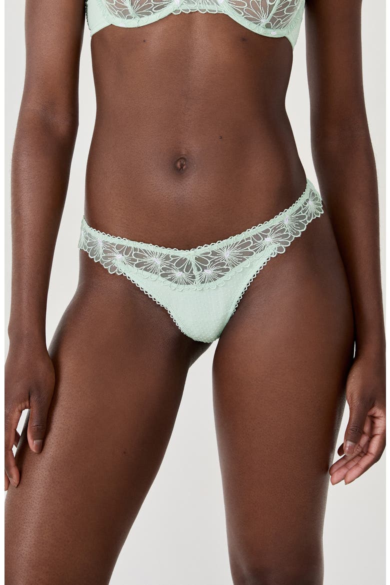 Daisy Embroidered Tanga Thong, Main, color, CELADON