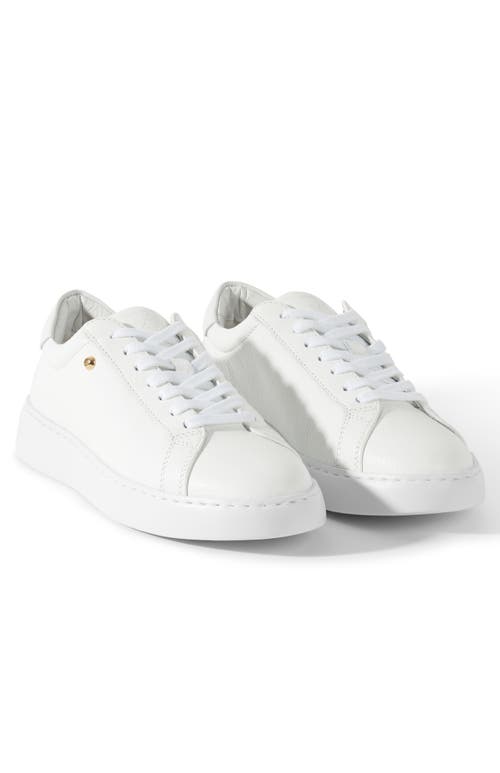 Shop Stinaa.j Stella Orthopedic Sneakers In White Leather
