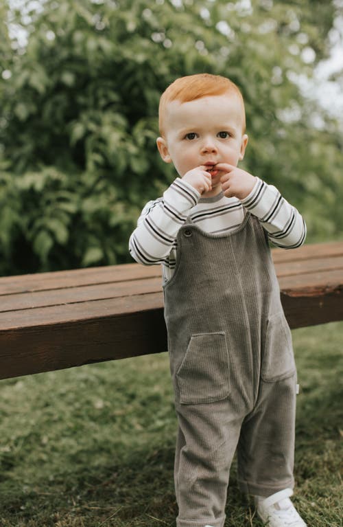 Firsts By Petit Lem Long Sleeve Top & Corduroy Overalls Set In Gray