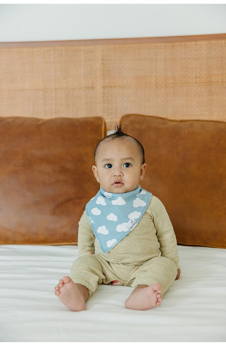 Copper Pearl Assorted 4-Pack Bandana Bibs, Alternate, color, White Multi