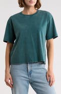 Wildfox Frankie Crop T-Shirt