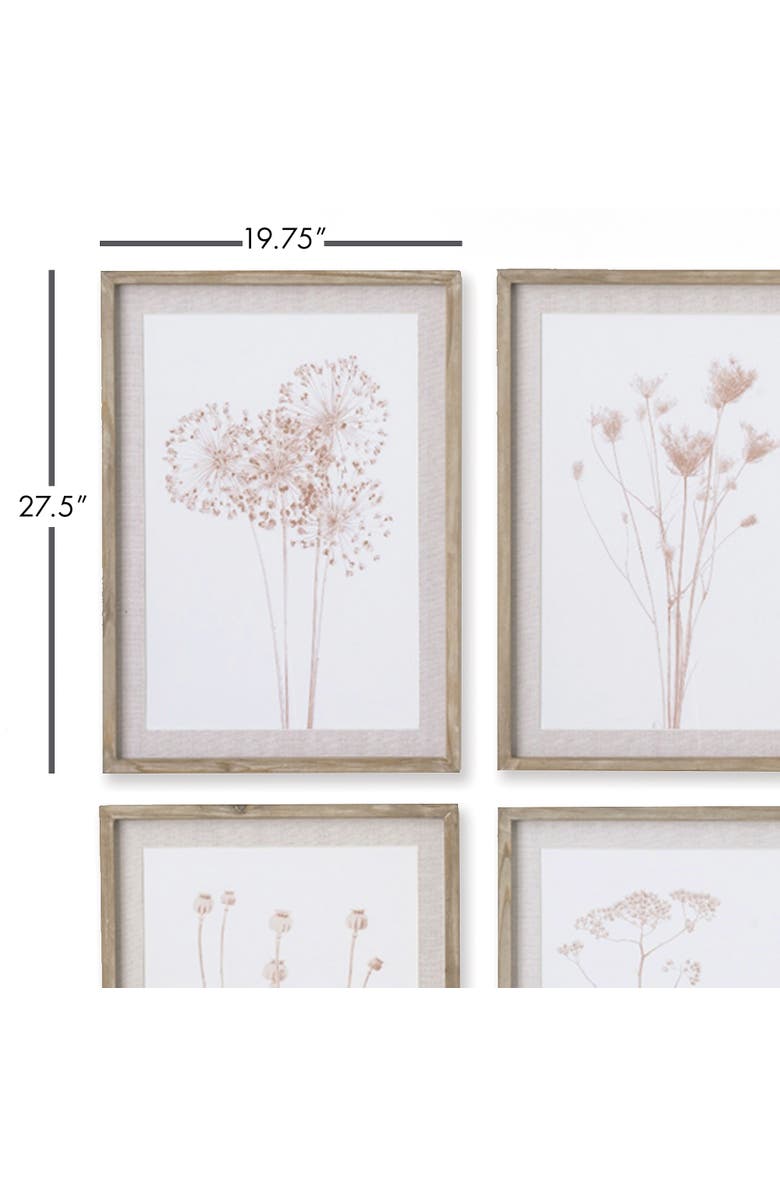 Napa Home & Garden Stylized Botanical Prints Set of 4, Alternate, color, Pink