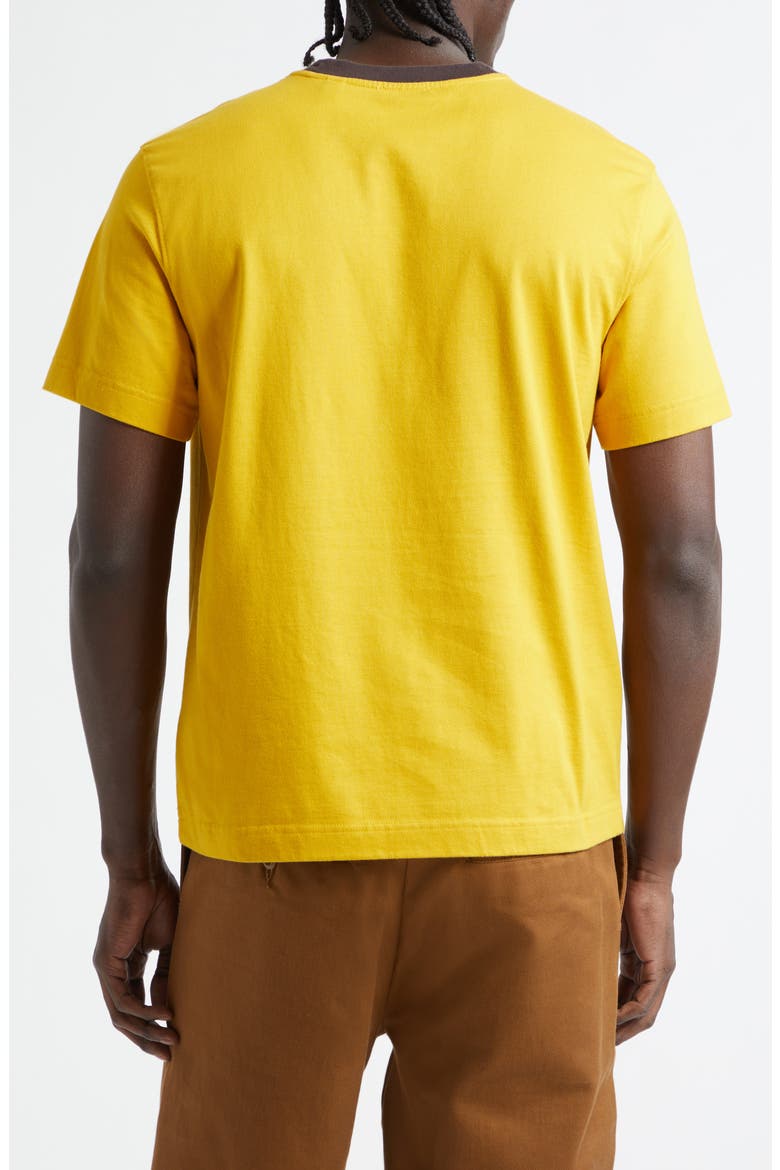 Daisy Appliqué Ringer T-Shirt, Alternate, color, PEAR