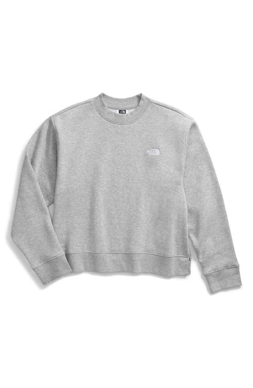 THE NORTH FACE THE NORTH FACE EVOLUTION FLEECE SWEATSHIRT