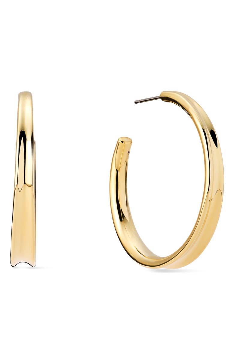 Ana Luisa Wade Large Hoop Earrings, Main, color, Gold